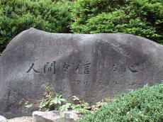 �^�J�N���E�e���̔�