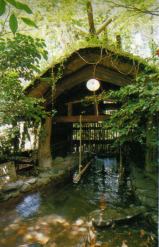 立ち湯