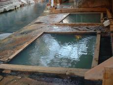 �ڂ̑O��삪�����I�V���C