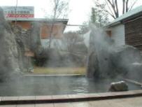 �뉀���I�V���C