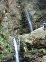 �j��E����