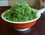 �˂����[����