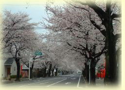 �r���Ō�����������