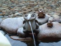 �����ɂ����J�G���i�΁j