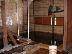 �X�̓��E�E�E������u�����R������