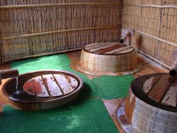 �d���̓��E�E�E�܉E�q�啗�C